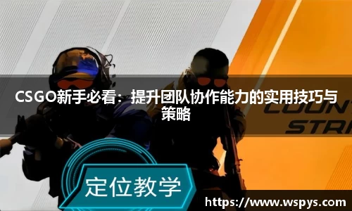 CSGO新手必看：提升团队协作能力的实用技巧与策略