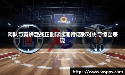 网队与黄蜂激战正酣球迷期待精彩对决与惊喜表现